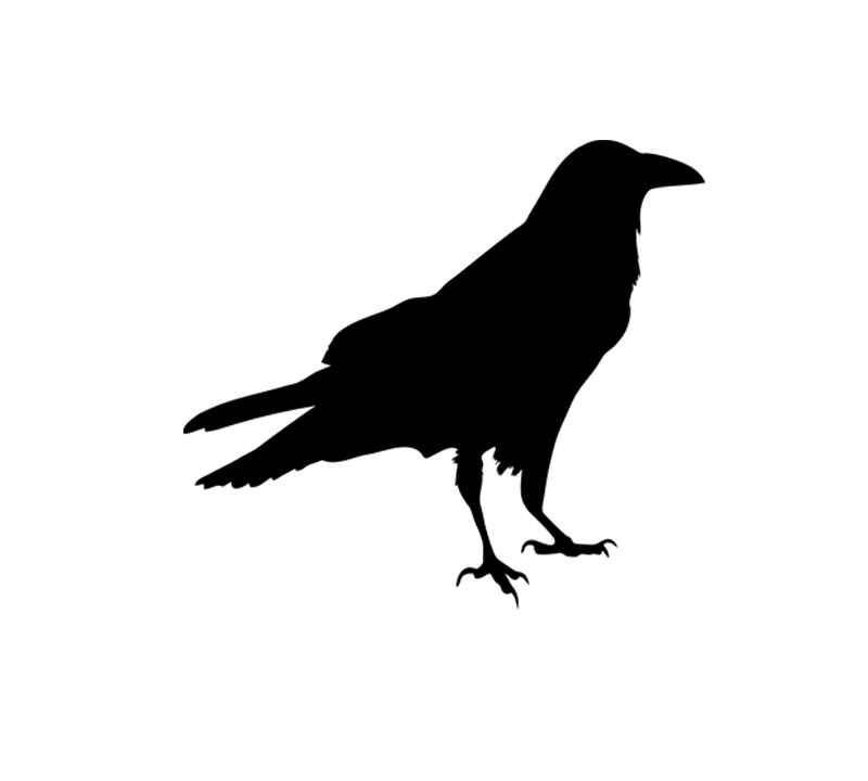 crow 2 mediano